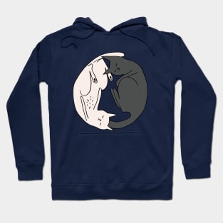 Ying-yang cats Hoodie